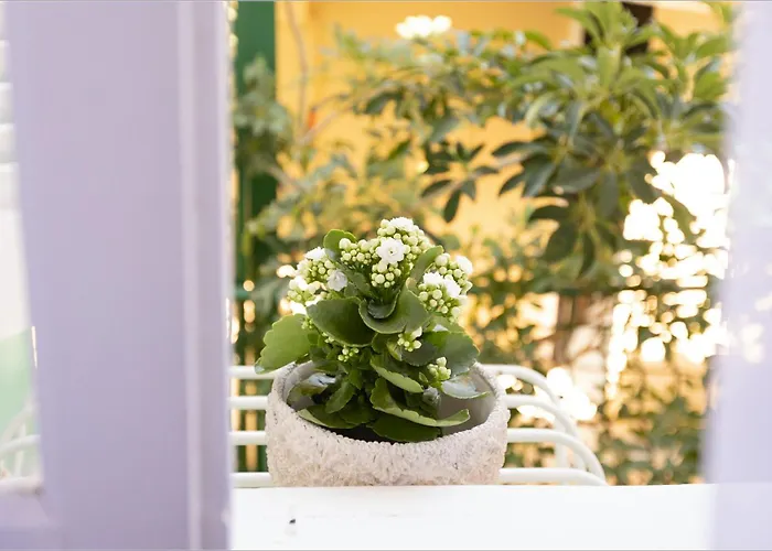 Apartment Ziv Boutique Town Square Ii Lefkada City