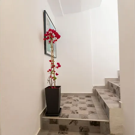 Ziv Boutique Town Square Ii